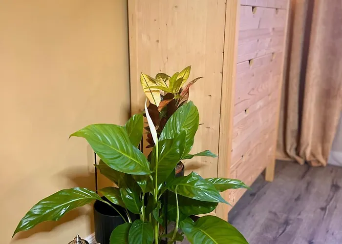 Terracotta - Zentral, Parken, Netflix, Kontaktloses Einchecken, Kingsize-bett